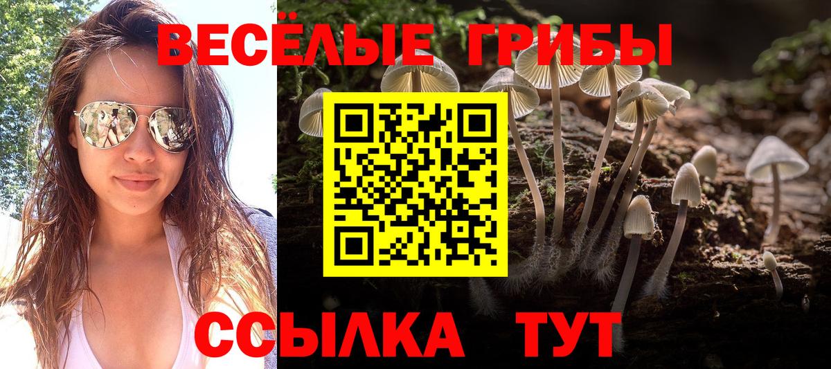 Галлюциногенные грибы прущие грибы  Псилоцибиновые грибы мицелий  Вход с VPN  Дмитров 